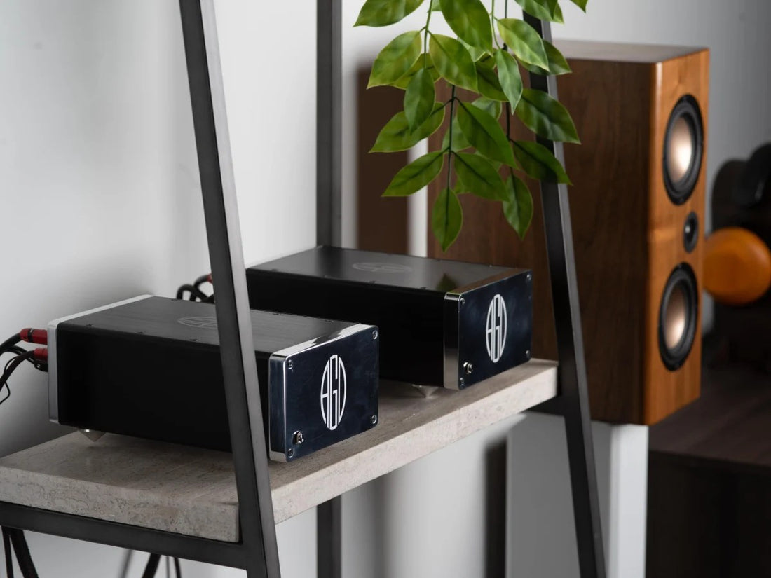AGD DUET - Monoblocks